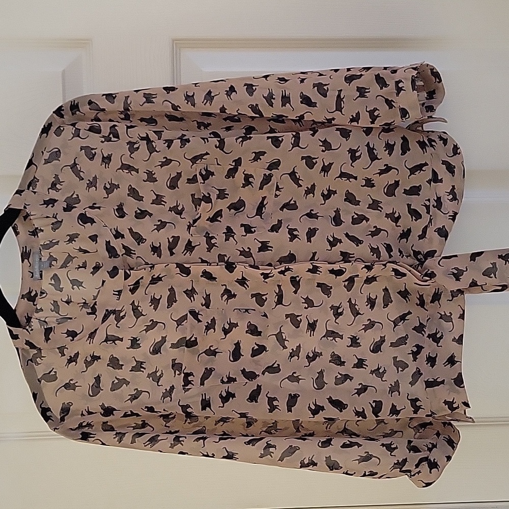 Sheer Cat Blouse